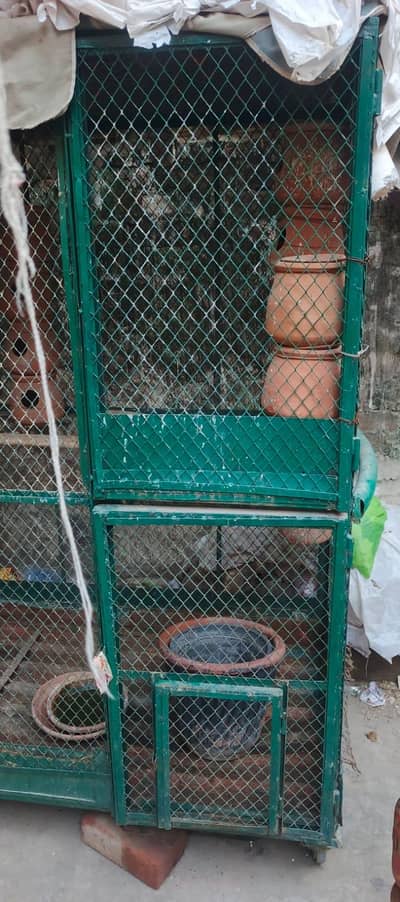 Birds Cage