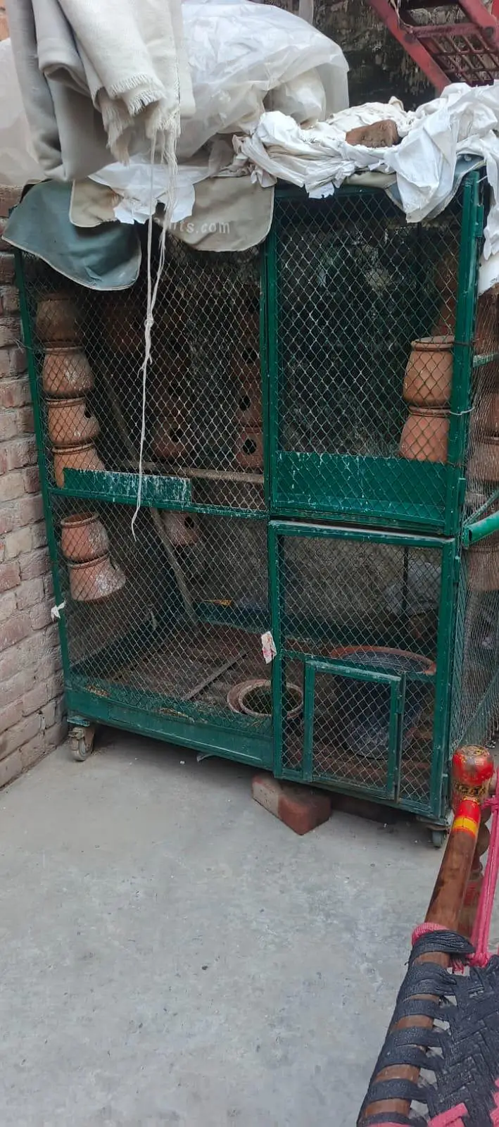 Birds Cage — photo 2