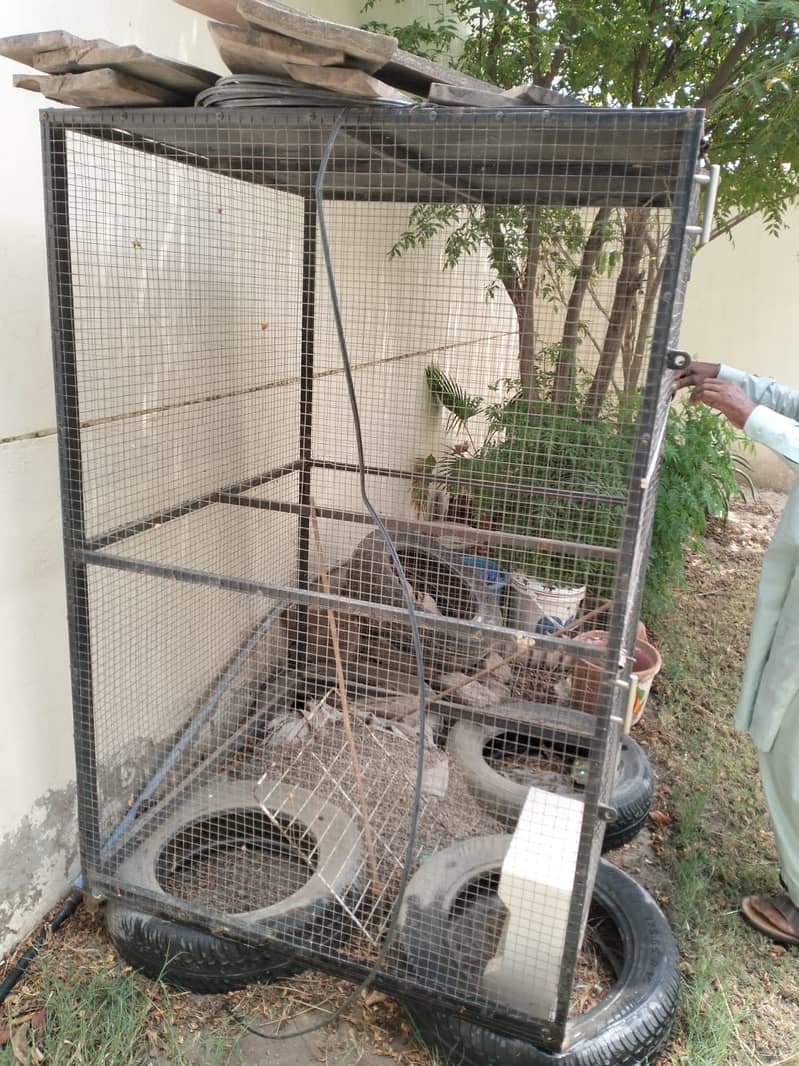 FLYING CAGE 1