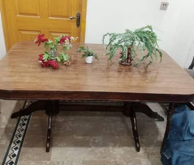 kikar wood dining table good condition