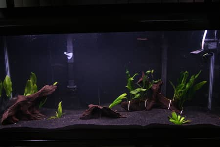 Aquarium sea sand
