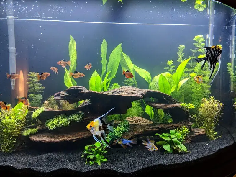 Aquarium sea sand — photo 3