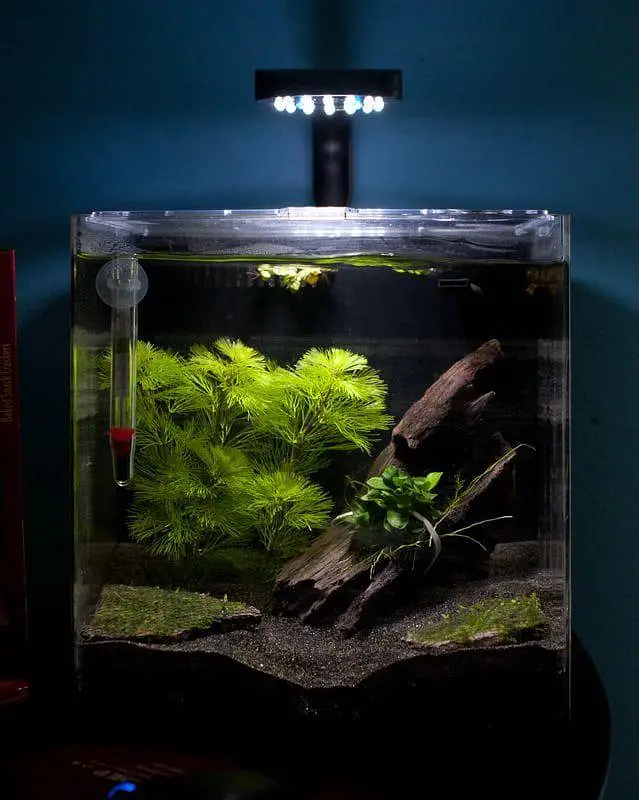 Aquarium sea sand — photo 4