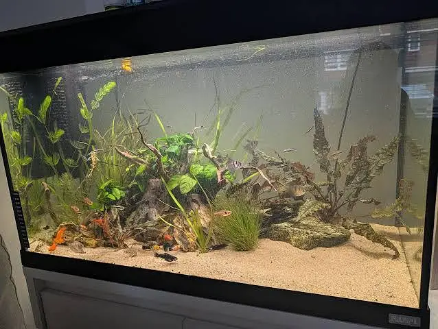 Aquarium sea sand — photo 5