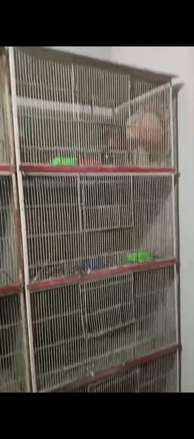 cages for sell size 2×4