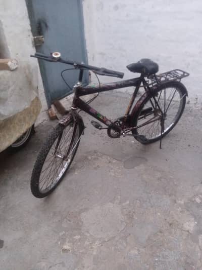 Sohrab Original Mountain26"
