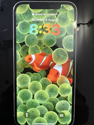 Apple iPhone 12 Pro
