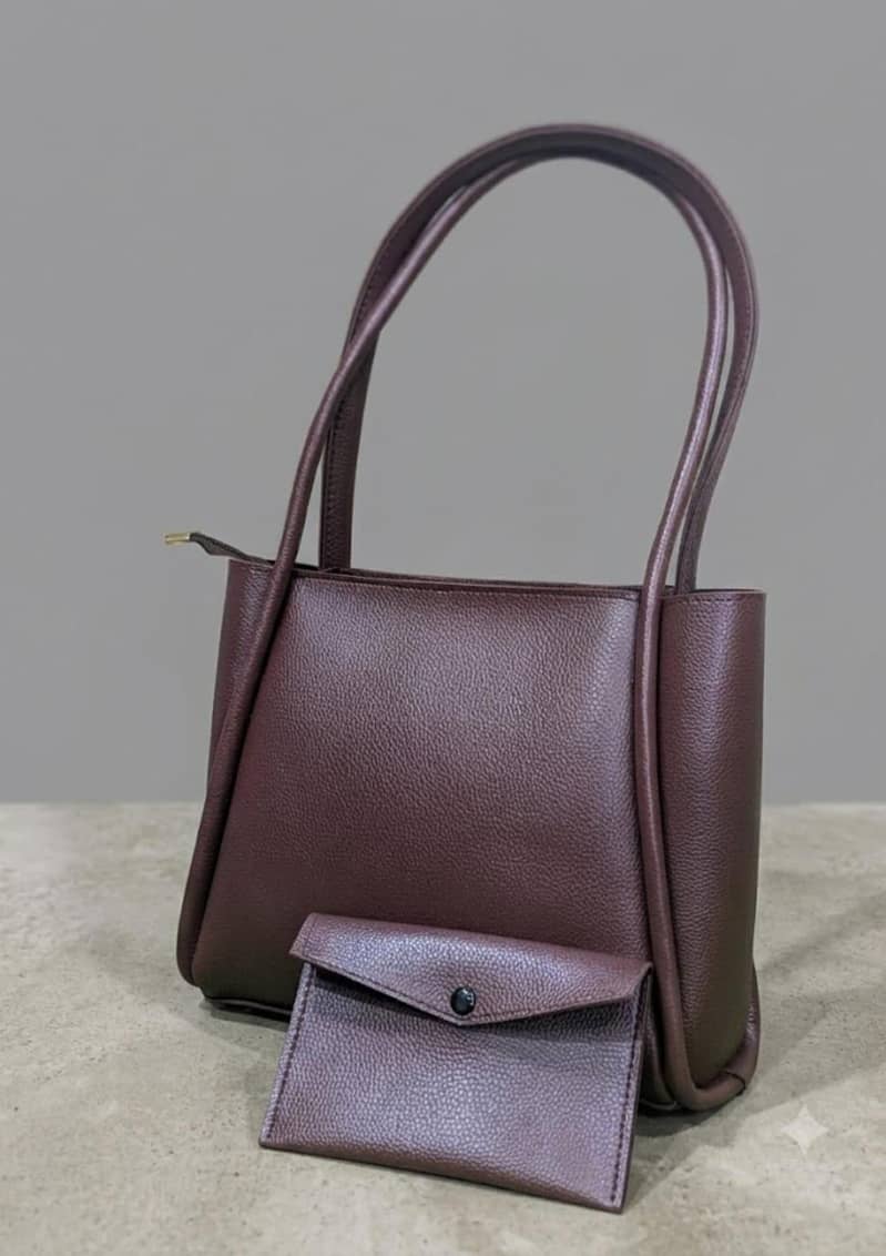 Decent Handbag 1