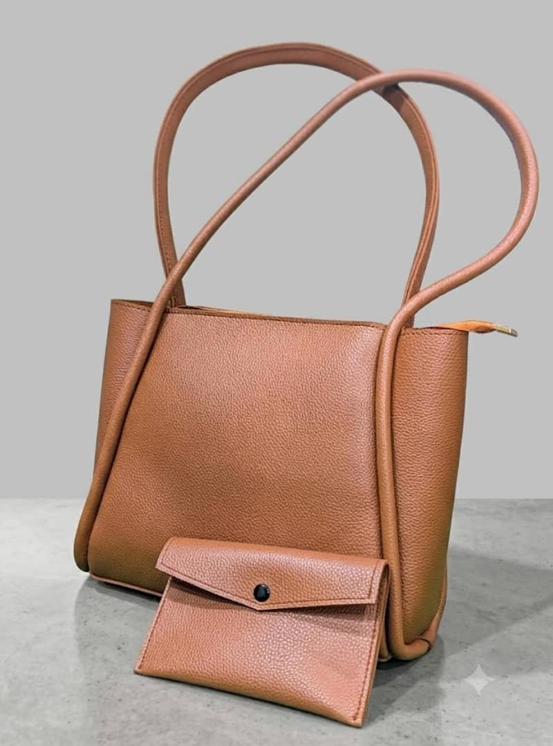 Decent Handbag 3