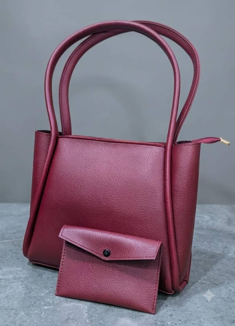 Decent Handbag 4