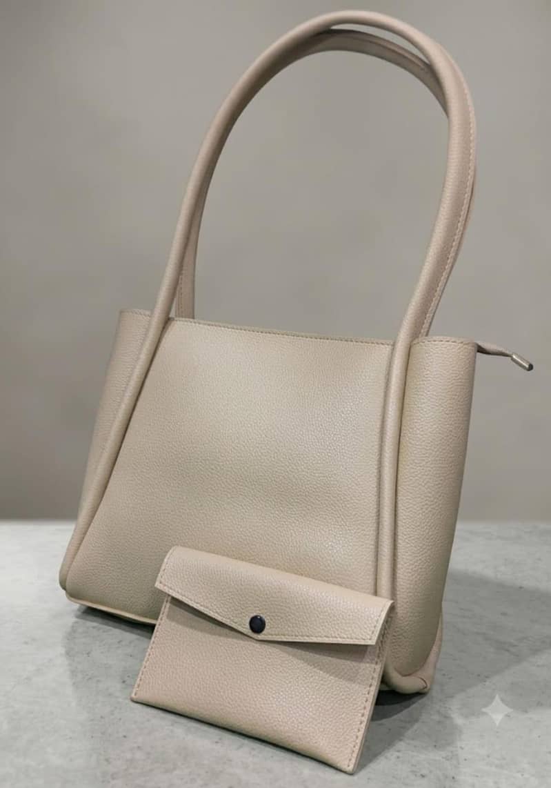 Decent Handbag 6
