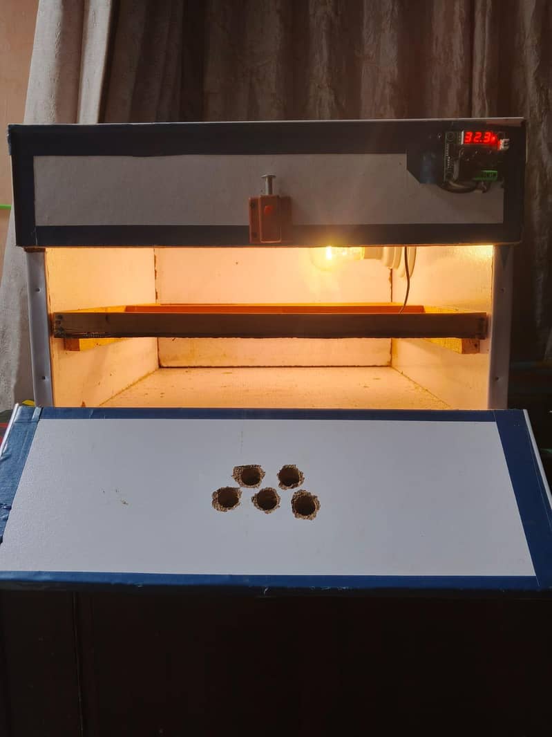 EGG incubator 1