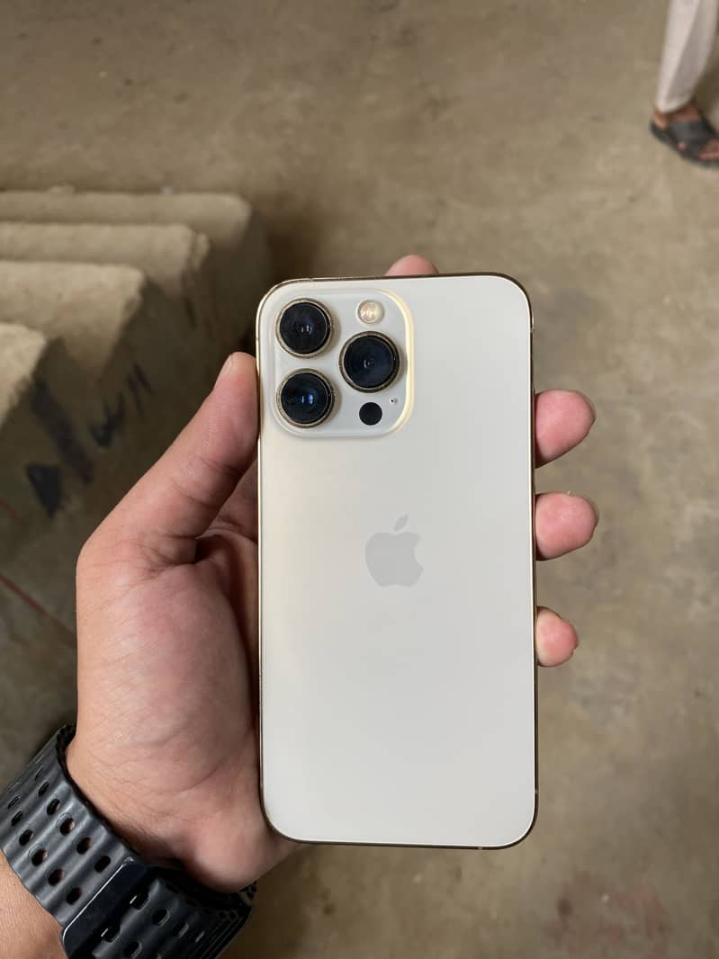 Apple iPhone 13 Pro 1