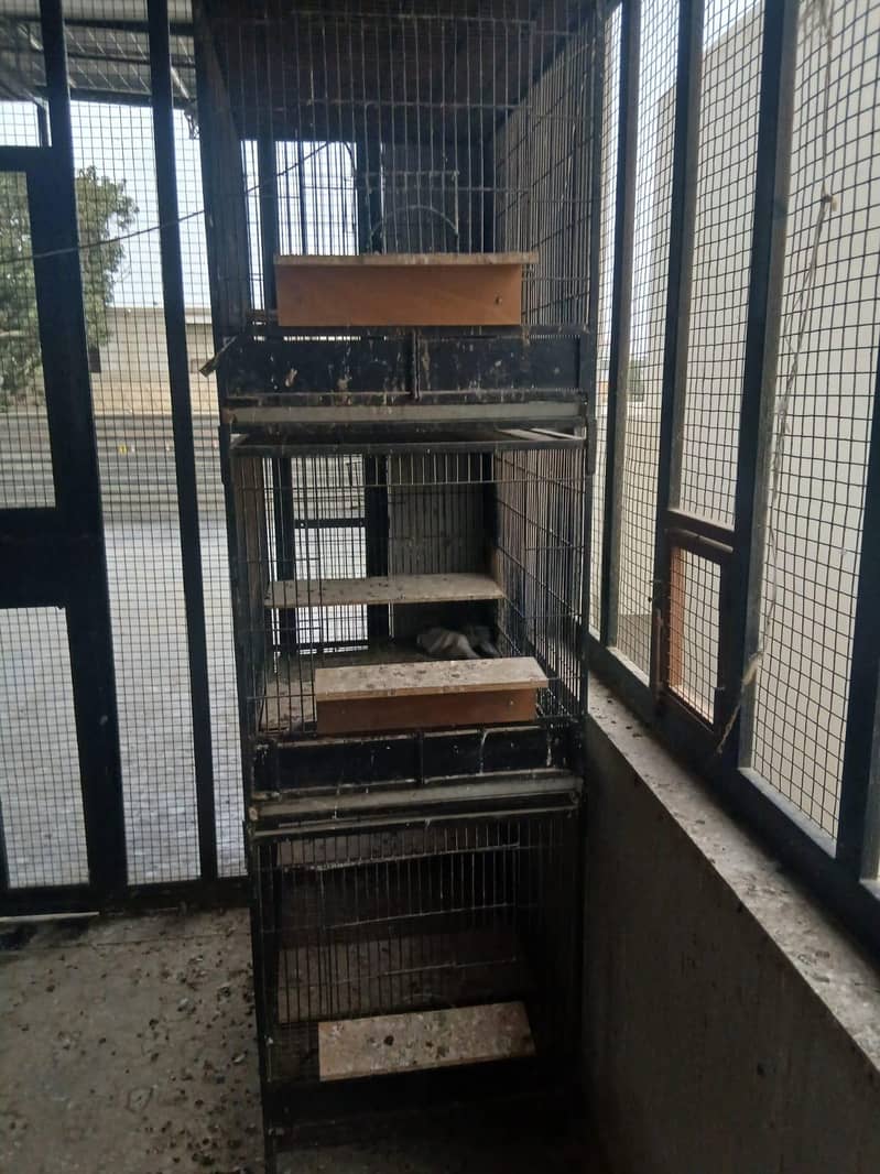 Cages 0