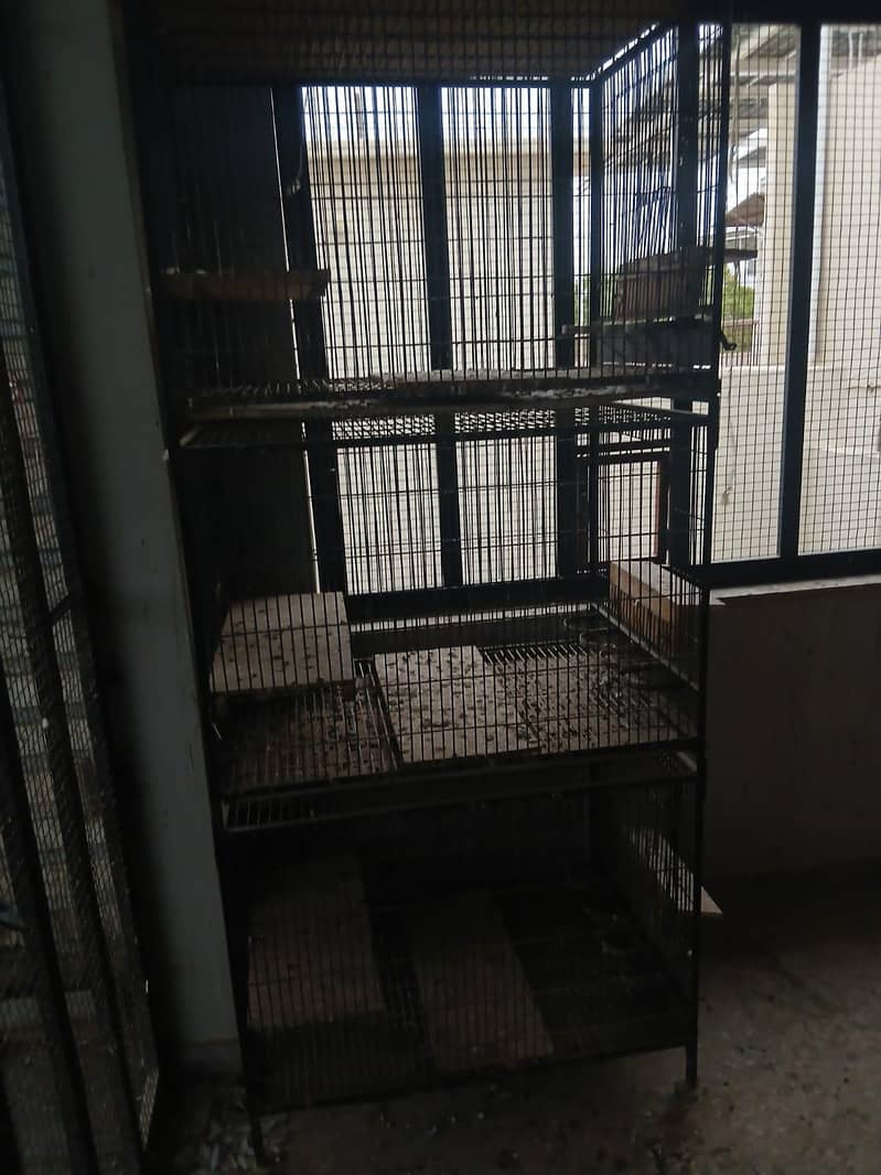 Cages 1
