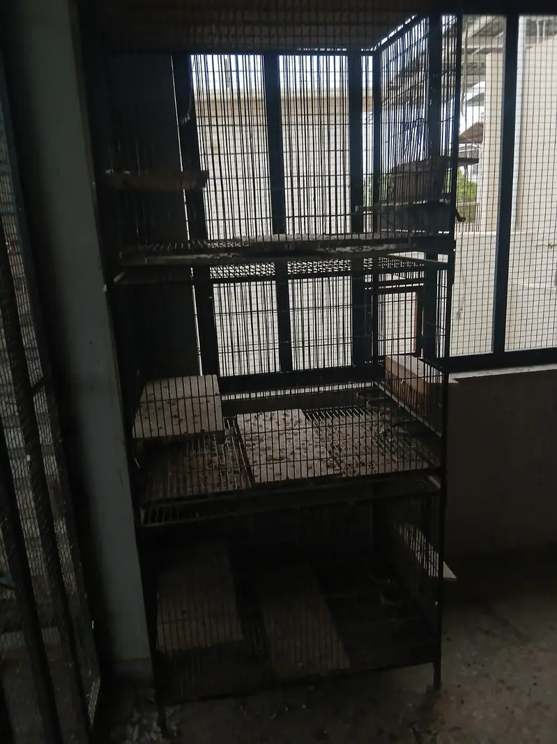 Cages — photo 2