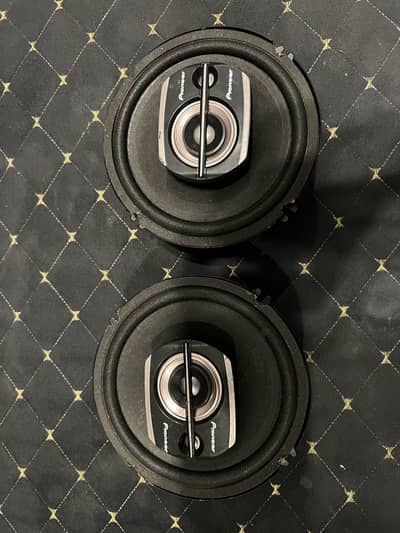 Pioneer speakers