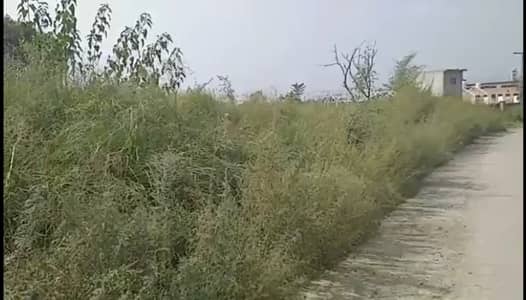 Freehold Premium Industrial & Commercial Plot 3 Kanal | WHATSAPP ONLY