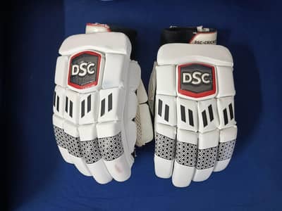 Cricket Kit without Bat