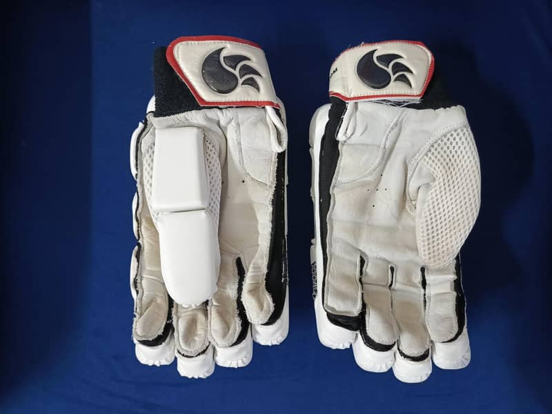 Cricket Kit without Bat 1