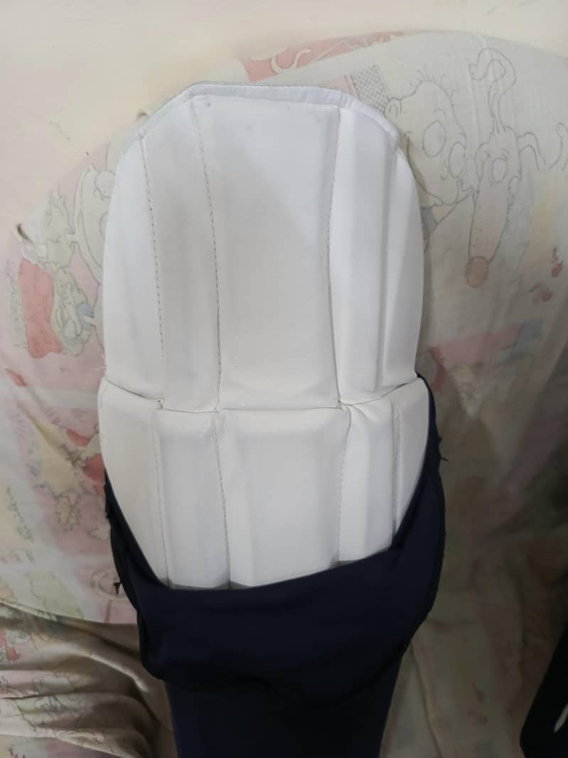 Cricket Kit without Bat 10