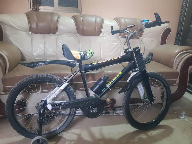 bicycle 0