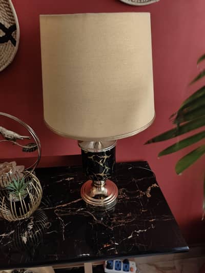 pair of Black and Golden lamps