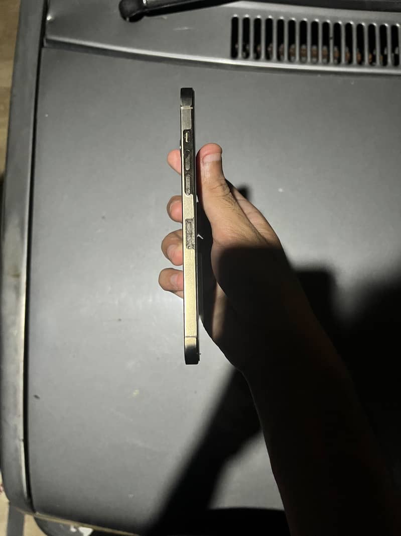 Apple iPhone 12 Pro Max 1