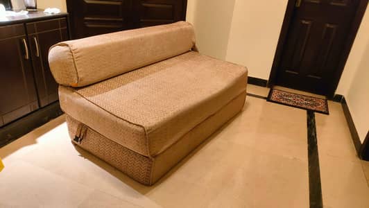 Used Sofa cum bed (foam based)