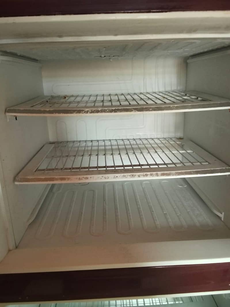 Pel Fridge 1