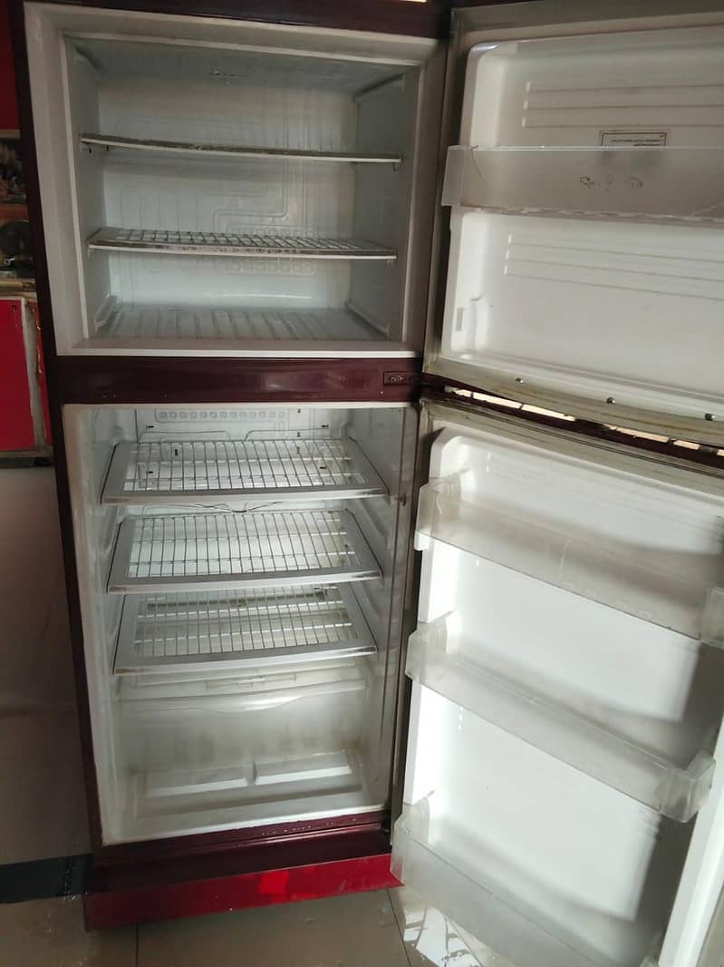 Pel Fridge 2