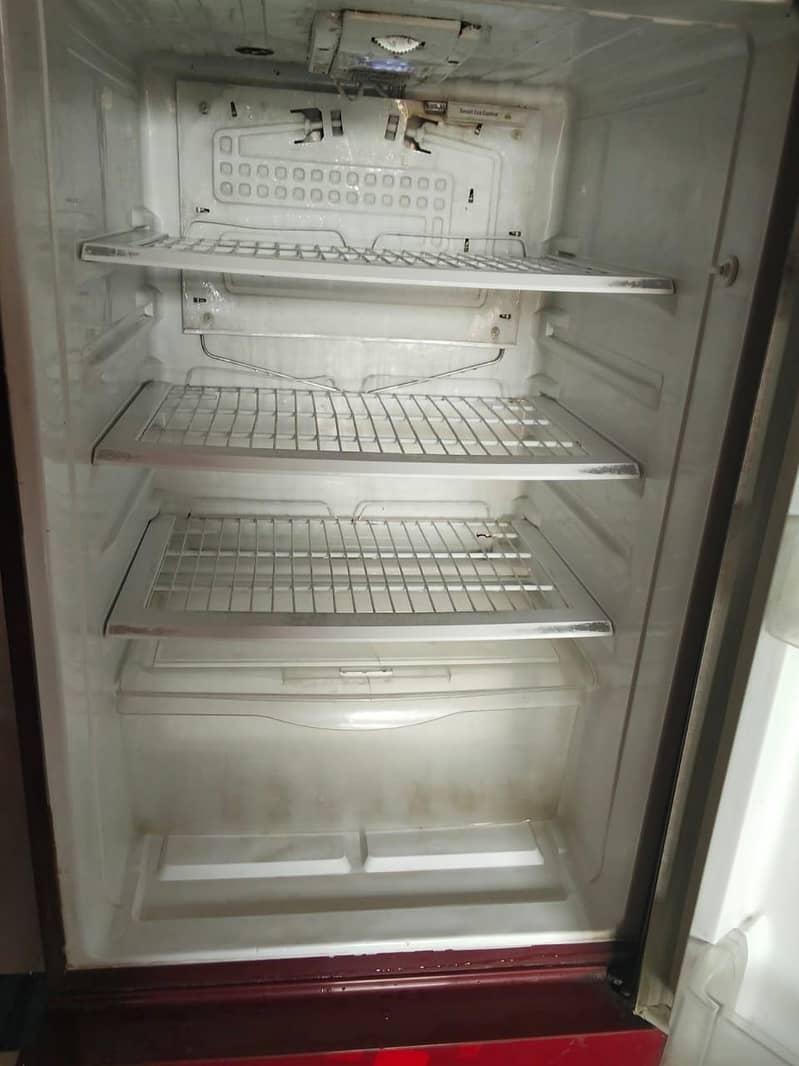 Pel Fridge 3