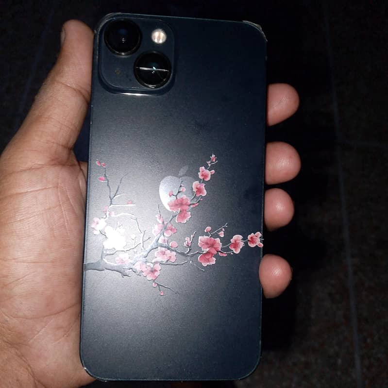 Apple iPhone 13 0