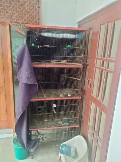Cages