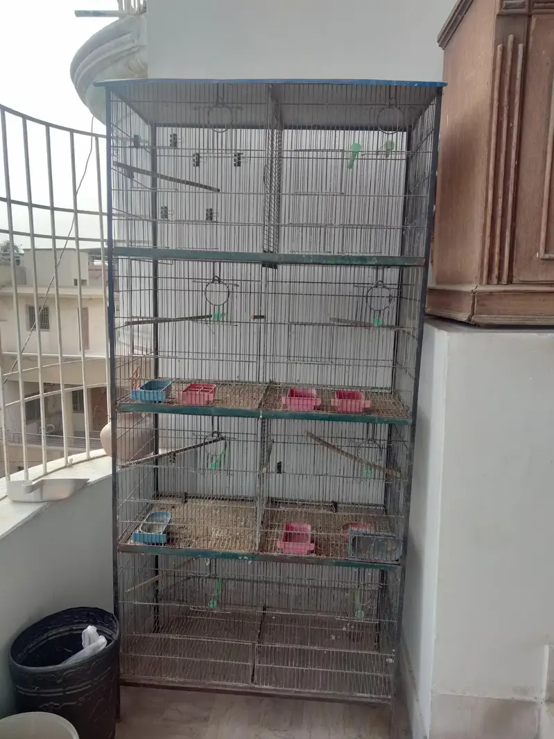 Cages — photo 2