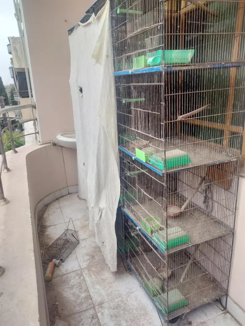 Cages — photo 3