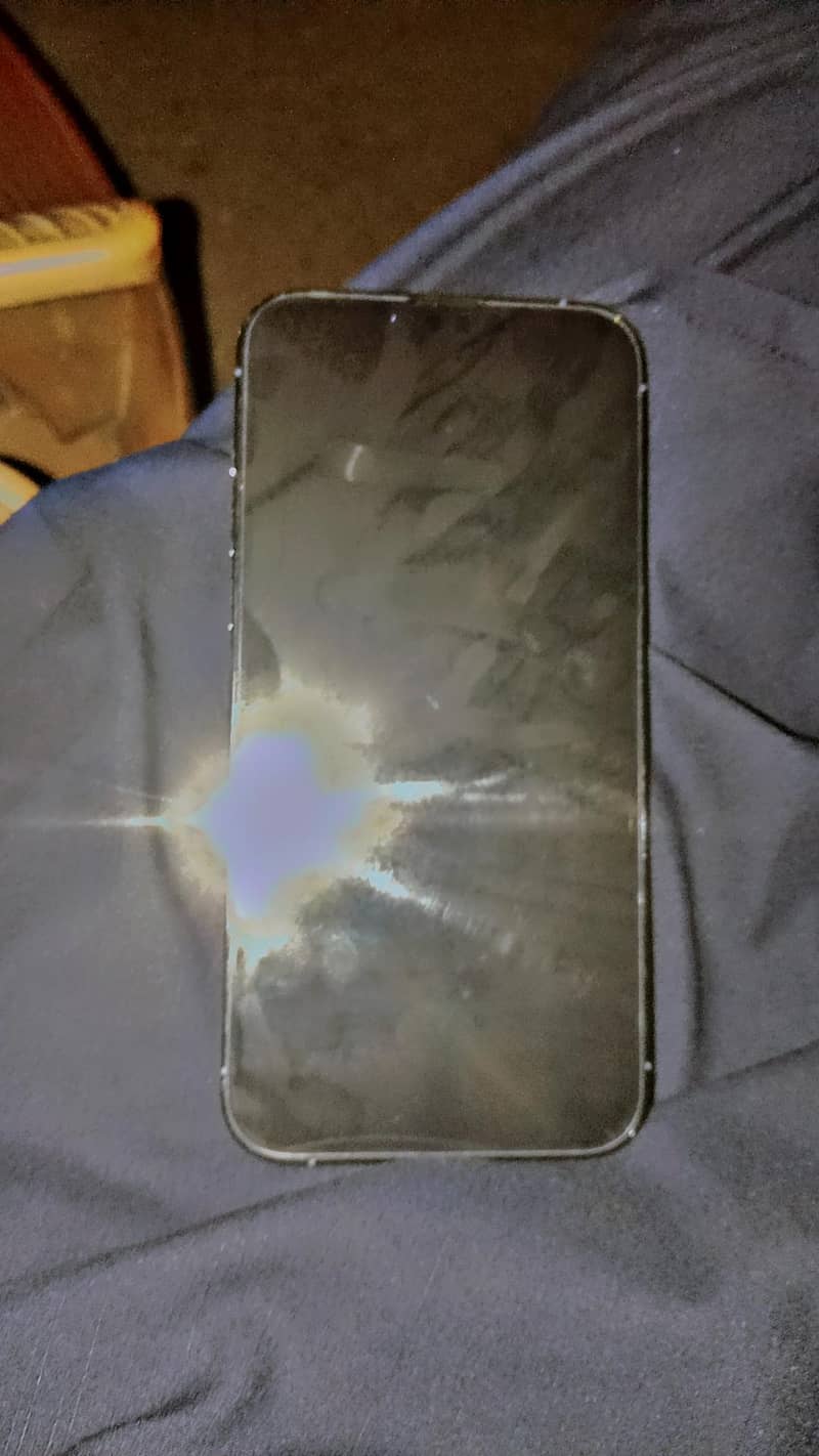Apple iPhone 13 Pro Max 1