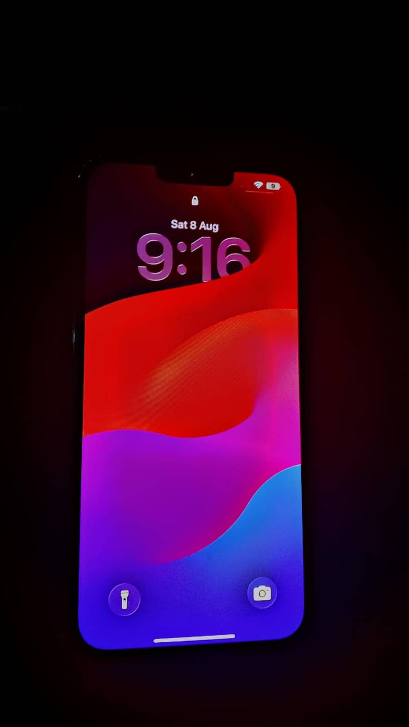 Apple iPhone 13 Pro Max 2