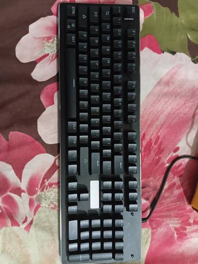 Gaming Mechanical Keyboard
