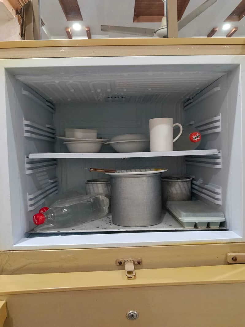 PEL Freezer 3