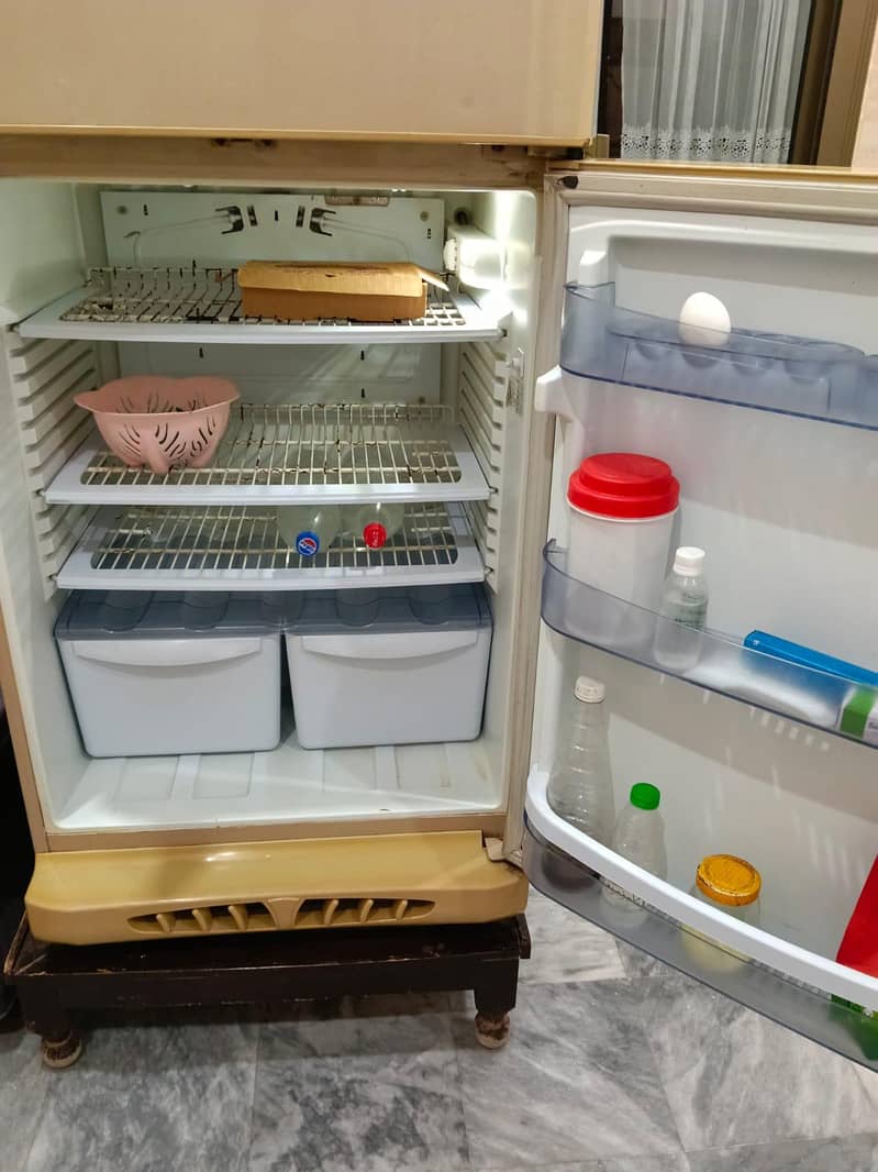 PEL Freezer 4