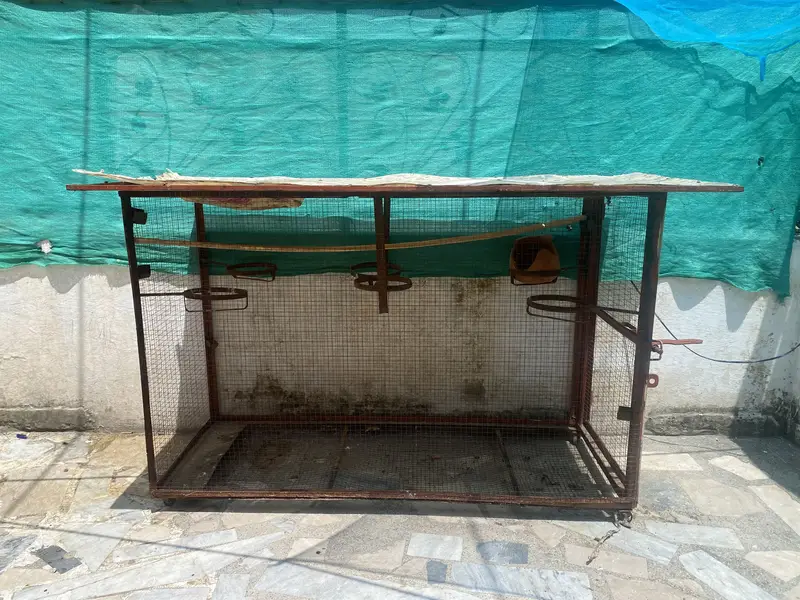 Parrot cage — photo 2