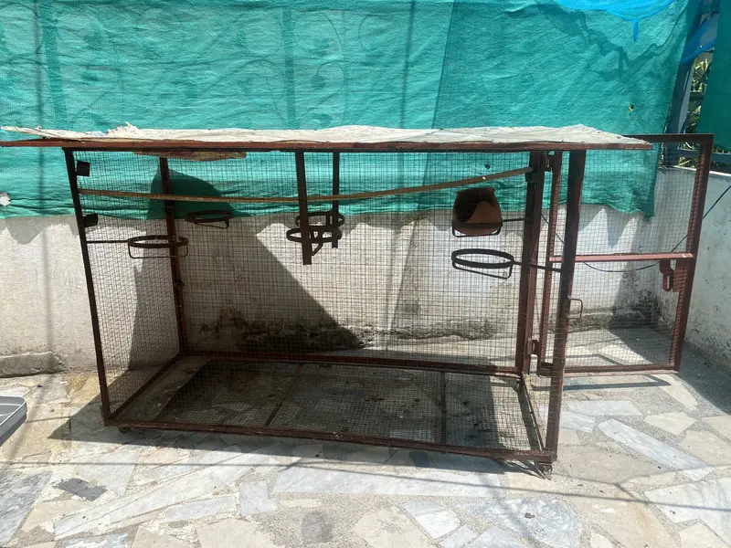 Parrot cage — photo 3