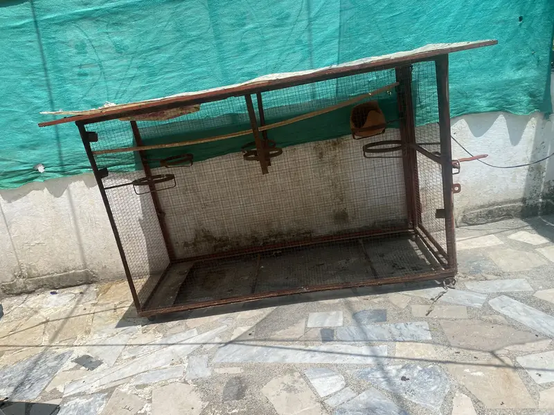 Parrot cage — photo 4