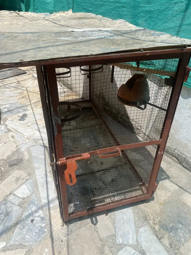 Parrot cage — photo 5