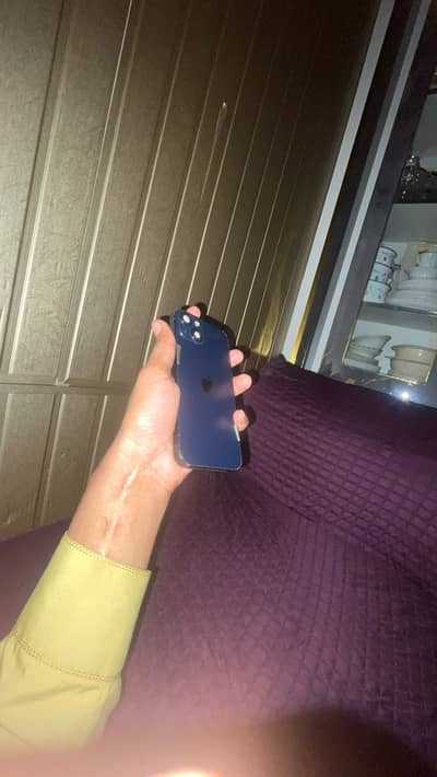 Apple iPhone 13