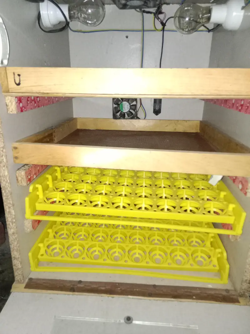 Sami Automatic Egg Incubator / Hatching Machine For Sale - Best Result — photo 2