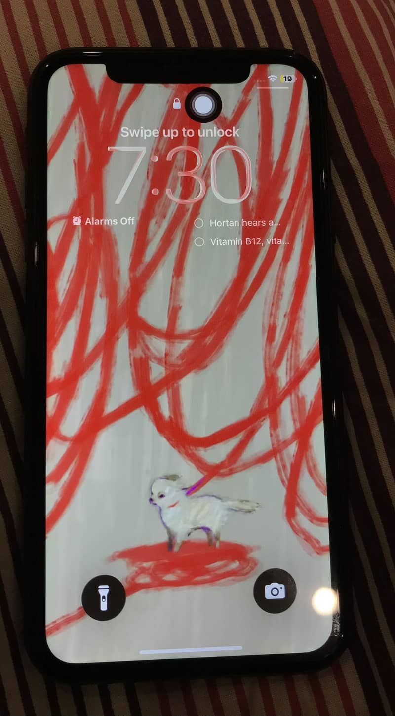 Apple iPhone 11 3