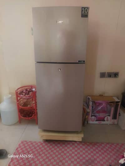 Haier HRF 246 Gold Refrigerator—Good Condition