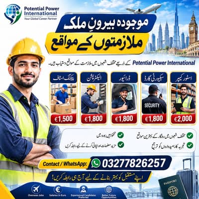 Netherlands Job Opportunities – Apply Now